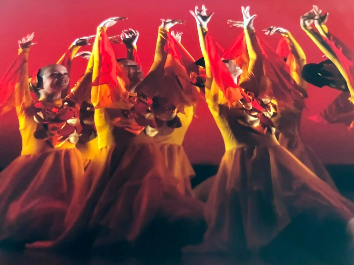 Spectacles (2) — vue 8 — tenue de danse cousue main